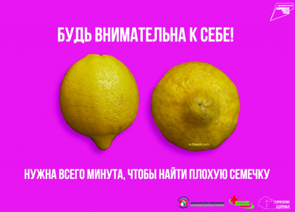 лимоны 2022 А6_Страница_1.jpg